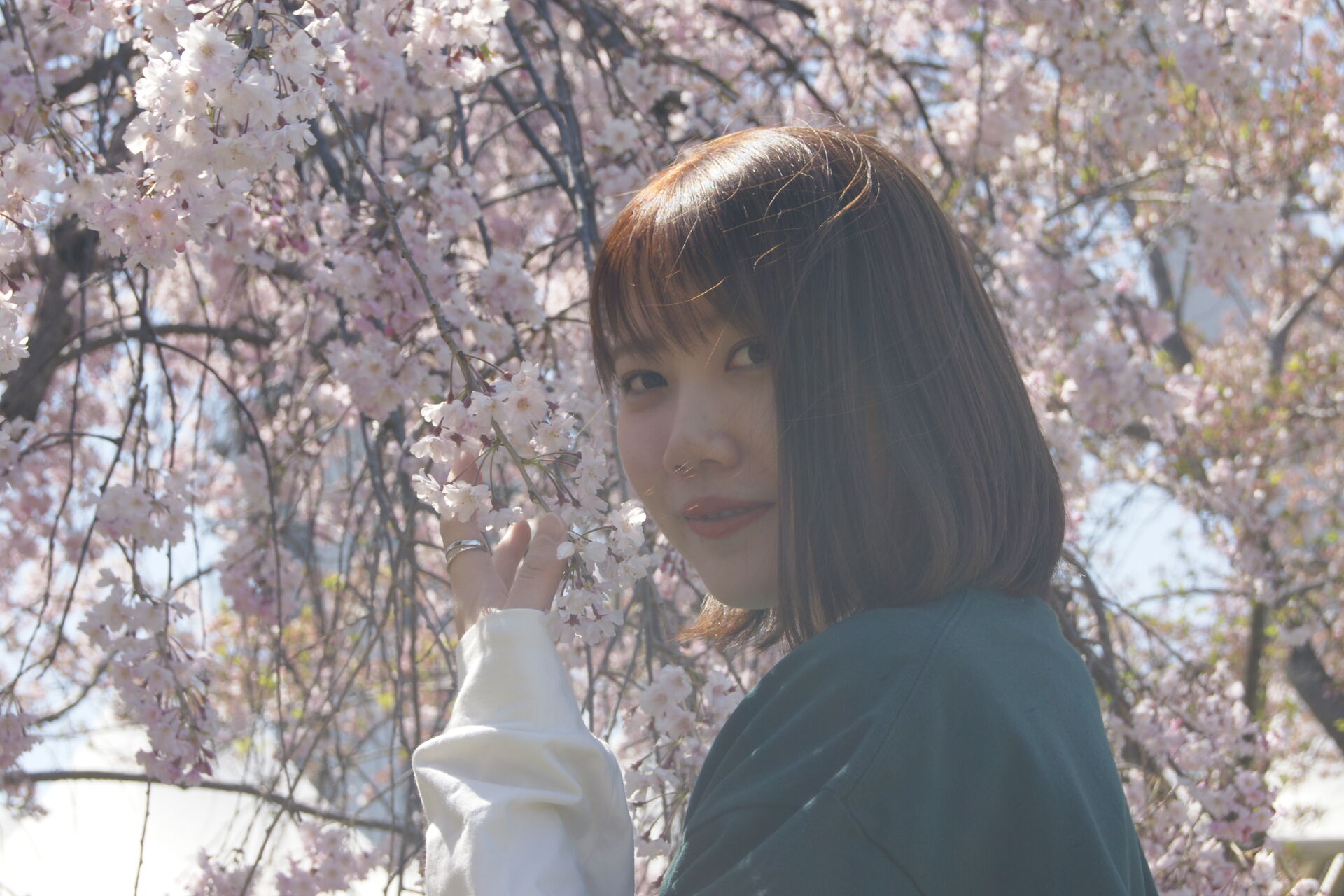 DSC01204HP