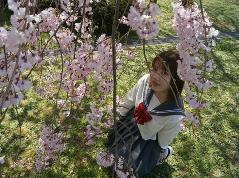 DSC01440@@